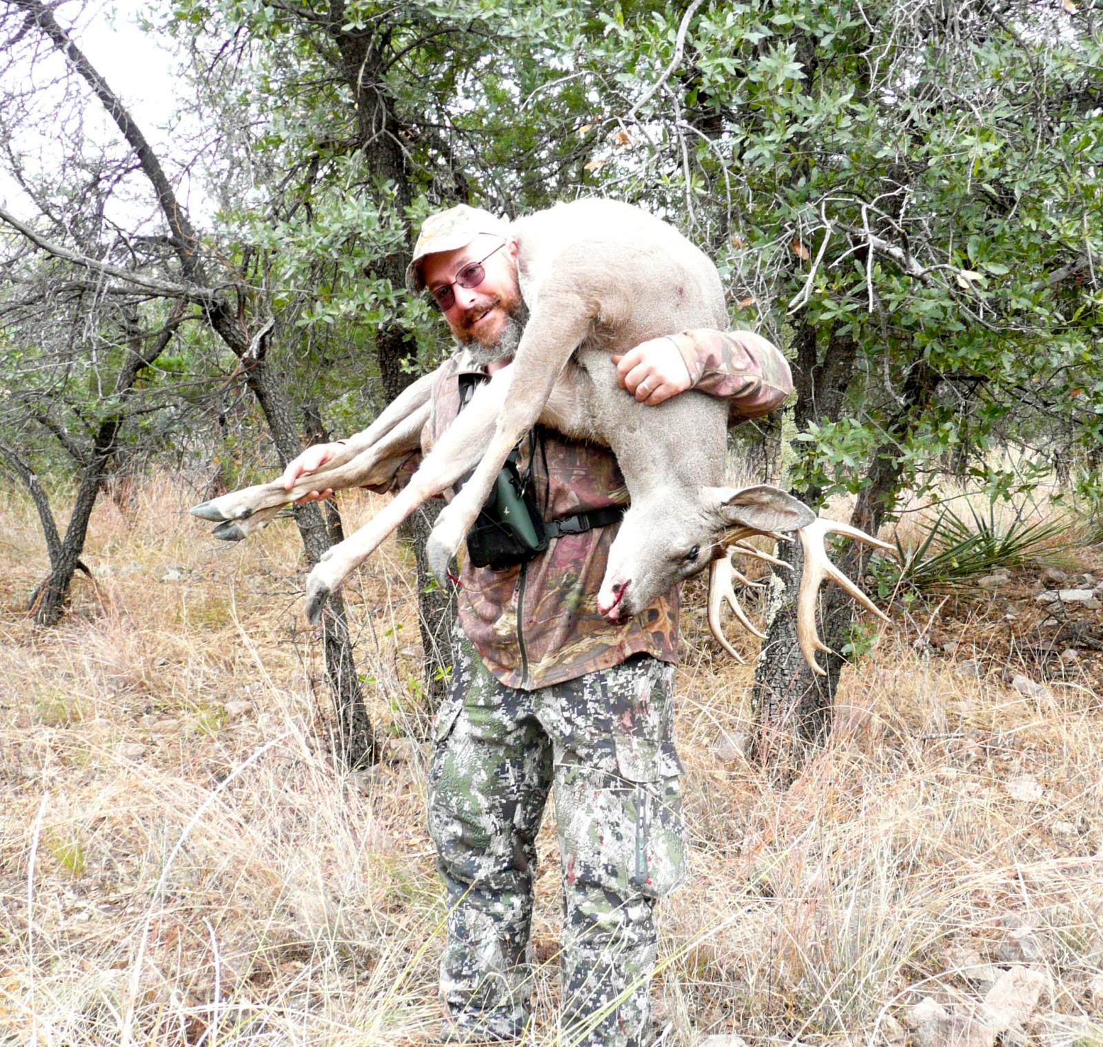 Mexico coues deer