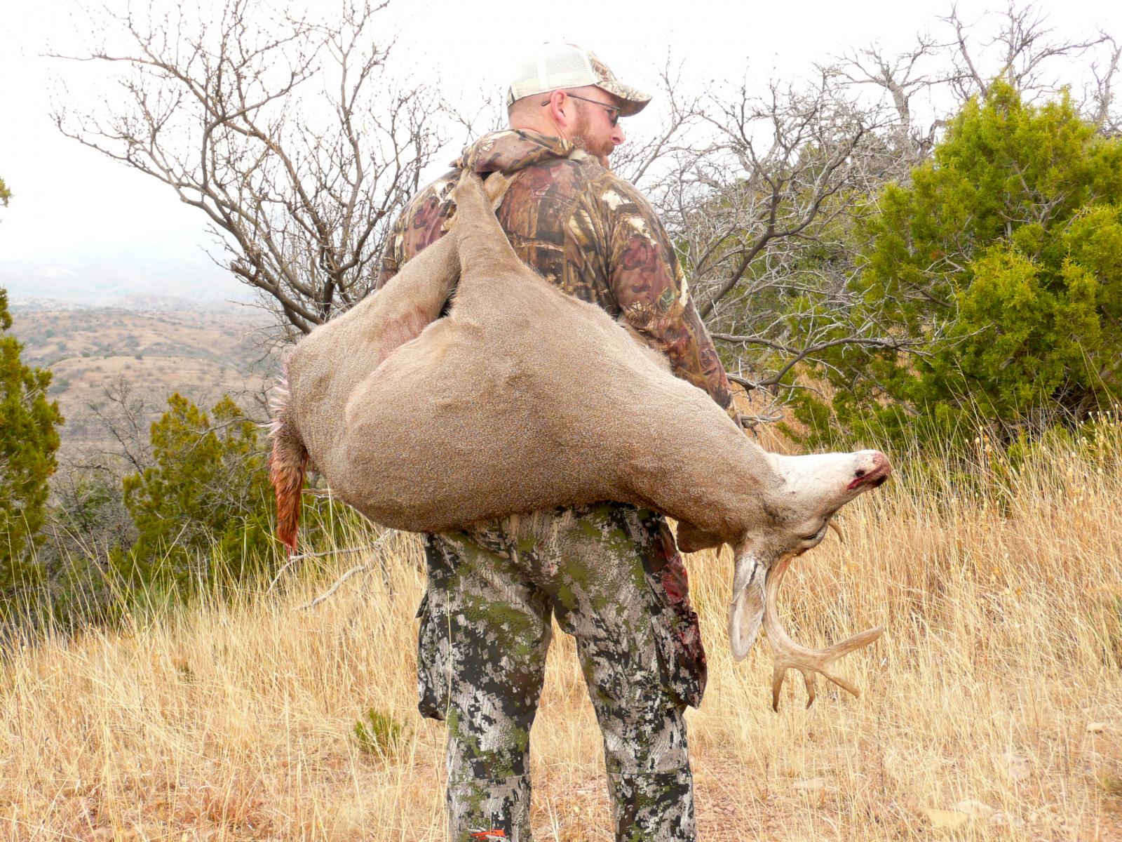 Cool way to carry deer