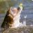 Bass Fishing Tournaments