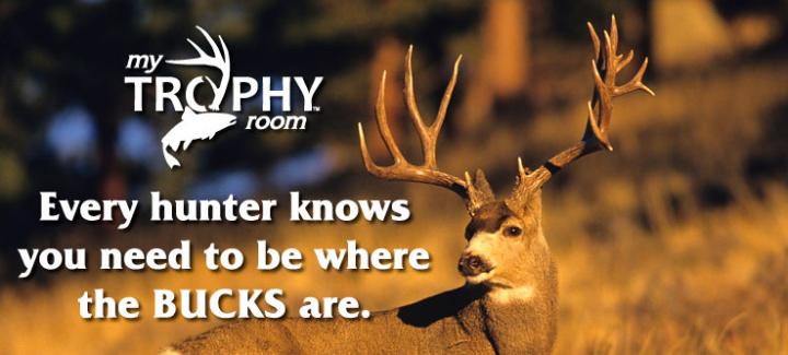 Be Where the Bucks Are!