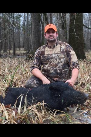 Swamp hog