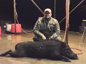 Swamp hog