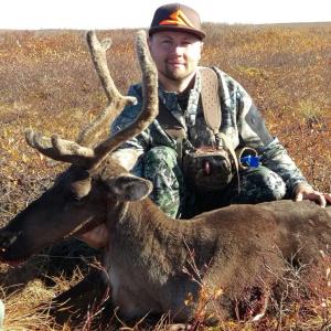 caribou
