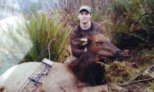 elk
