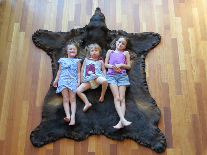 2011 WA black bear 4