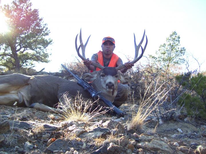 stud of the mountain