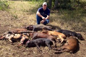 TX Hog Trapping