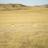 2009 Antelope Hunt