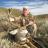 Washington State Mule Deer